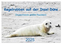 Kegelrobben auf der Insel Düne (Tischkalender 2025 DIN A5 quer), CALVENDO Monatskalender - Calvendo;Wilhelm, N.