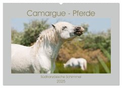 Camargue-Pferde - Südfranzösische Schimmel (Wandkalender 2025 DIN A2 quer), CALVENDO Monatskalender