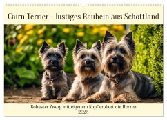 Cairn Terrier - lustiges Raubein aus Schottland (Wandkalender 2025 DIN A2 quer), CALVENDO Monatskalender - Calvendo;Kleemann, Claudia