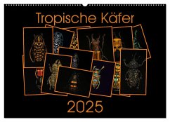 Tropische Käfer (Wandkalender 2025 DIN A2 quer), CALVENDO Monatskalender - Calvendo;Körner, Burkhard