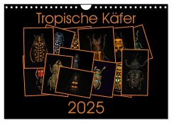 Tropische Käfer (Wandkalender 2025 DIN A4 quer), CALVENDO Monatskalender