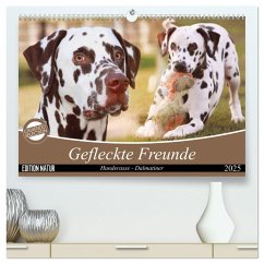 Gefleckte Freunde - Hunderasse Dalmatiner (hochwertiger Premium Wandkalender 2025 DIN A2 quer), Kunstdruck in Hochglanz - Calvendo;Mielewczyk, Barbara