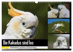 Die Kakadus sind los (Wandkalender 2025 DIN A3 quer), CALVENDO Monatskalender