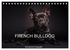 French Bulldog (Tischkalender 2025 DIN A5 quer), CALVENDO Monatskalender