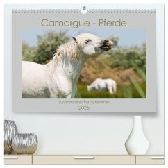 Camargue-Pferde - Südfranzösische Schimmel (hochwertiger Premium Wandkalender 2025 DIN A2 quer), Kunstdruck in Hochglanz