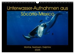 Unterwasser-Aufnahmen aus Socorro-Mexico (Wandkalender 2025 DIN A3 quer), CALVENDO Monatskalender - Calvendo;Caballero, Sascha