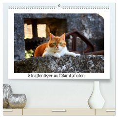 Straßentiger auf Samtpfoten (hochwertiger Premium Wandkalender 2025 DIN A2 quer), Kunstdruck in Hochglanz