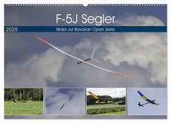 F-5J Segler, Bilder zur Bavarian Open Serie (Wandkalender 2025 DIN A2 quer), CALVENDO Monatskalender