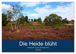 Die Heide blüht (Wandkalender 2025 DIN A2 quer), CALVENDO Monatskalender Die Heide blüht (Wandkalender 2025 DIN A2 quer), CALVENDO Monatskalender