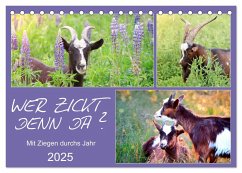 Wer zickt denn da? Mit Ziegen durchs Jahr (Tischkalender 2025 DIN A5 quer), CALVENDO Monatskalender - Calvendo;Löwer, Sabine