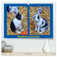 Niedliche Kaninchen (hochwertiger Premium Wandkalender 2025 DIN A2 quer), Kunstdruck in Hochglanz