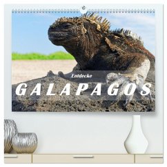 Entdecke Galapagos (hochwertiger Premium Wandkalender 2025 DIN A2 quer), Kunstdruck in Hochglanz - Calvendo;Vargard, Askson