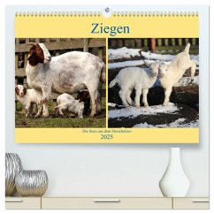 Ziegen - Die Stars aus dem Streichelzoo (hochwertiger Premium Wandkalender 2025 DIN A2 quer), Kunstdruck in Hochglanz