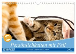 Persönlichkeiten mit Fell - aus dem Leben zweier getigerter Kater (Wandkalender 2025 DIN A4 quer), CALVENDO Monatskalender - Calvendo;Samashy