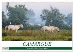 Camargue - Der wilde Süden Frankreichs (Wandkalender 2025 DIN A2 quer), CALVENDO Monatskalender - Calvendo;Schikore, Martina