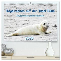 Kegelrobben auf der Insel Düne (hochwertiger Premium Wandkalender 2025 DIN A2 quer), Kunstdruck in Hochglanz