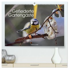 Gefiederte Gartengäste (hochwertiger Premium Wandkalender 2025 DIN A2 quer), Kunstdruck in Hochglanz