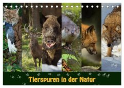 Tierspuren in der Natur (Tischkalender 2025 DIN A5 quer), CALVENDO Monatskalender