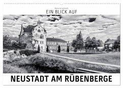 Ein Blick auf Neustadt am Rübenberge (Wandkalender 2025 DIN A2 quer), CALVENDO Monatskalender