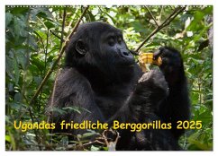 Ugandas friedliche Berggorillas (Wandkalender 2025 DIN A2 quer), CALVENDO Monatskalender