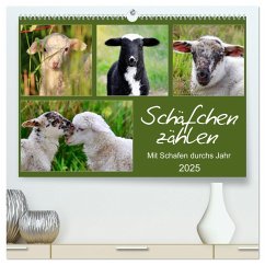 Schäfchen zählen - Mit Schafen durchs Jahr (hochwertiger Premium Wandkalender 2025 DIN A2 quer), Kunstdruck in Hochglanz