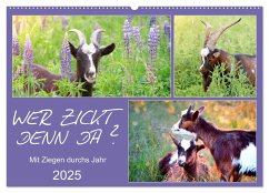 Wer zickt denn da? Mit Ziegen durchs Jahr (Wandkalender 2025 DIN A2 quer), CALVENDO Monatskalender - Calvendo;Löwer, Sabine