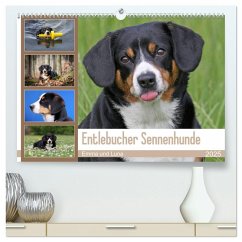 Entlebucher Sennenhunde Emma und Luna (hochwertiger Premium Wandkalender 2025 DIN A2 quer), Kunstdruck in Hochglanz