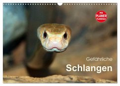 Gefährliche Schlangen (Wandkalender 2025 DIN A3 quer), CALVENDO Monatskalender - Calvendo;Herzog, Michael