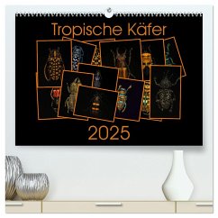 Tropische Käfer (hochwertiger Premium Wandkalender 2025 DIN A2 quer), Kunstdruck in Hochglanz - Calvendo;Körner, Burkhard
