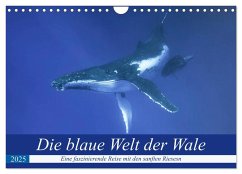 Die blaue Welt der Wale (Wandkalender 2025 DIN A4 quer), CALVENDO Monatskalender - Calvendo;Travelpixx.com