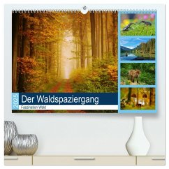 Der Waldspaziergang (hochwertiger Premium Wandkalender 2025 DIN A2 quer), Kunstdruck in Hochglanz