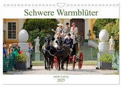 Schwere Warmblüter 2025 (Wandkalender 2025 DIN A4 quer), CALVENDO Monatskalender