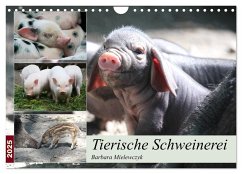 Tierische Schweinerei (Wandkalender 2025 DIN A4 quer), CALVENDO Monatskalender