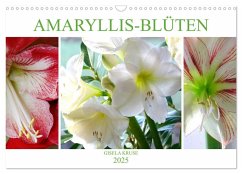 Amaryllis-Blüten (Wandkalender 2025 DIN A3 quer), CALVENDO Monatskalender