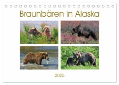 Braunbären in Alaska (Tischkalender 2025 DIN A5 quer), CALVENDO Monatskalender - Calvendo;Wilczek, Dieter