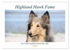 Highland Hawk Fame - Ein Collie begleitet durch das Jahr (Wandkalender 2025 DIN A2 quer), CALVENDO Monatskalender - Calvendo;Zimmermann, Andreas