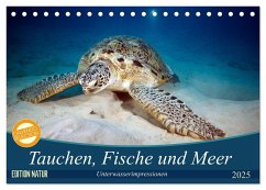 Tauchen, Fische und Meer (Tischkalender 2025 DIN A5 quer), CALVENDO Monatskalender