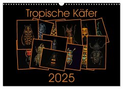 Tropische Käfer (Wandkalender 2025 DIN A3 quer), CALVENDO Monatskalender - Calvendo;Körner, Burkhard