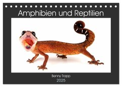 Amphibien und Reptilien (Tischkalender 2025 DIN A5 quer), CALVENDO Monatskalender - Calvendo;Trapp, Benny