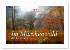 Im Märchenwald des Untertaunus (Wandkalender 2025 DIN A2 quer), CALVENDO Monatskalender