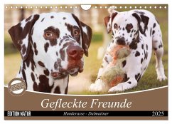 Gefleckte Freunde - Hunderasse Dalmatiner (Wandkalender 2025 DIN A4 quer), CALVENDO Monatskalender