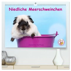 Niedliche Meerschweinchen (hochwertiger Premium Wandkalender 2025 DIN A2 quer), Kunstdruck in Hochglanz
