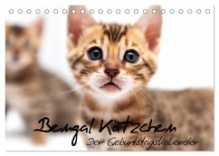 Bengal Kätzchen - Der Geburtstagskalender (Tischkalender 2025 DIN A5 quer), CALVENDO Monatskalender