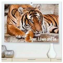 Tiger, Löwe und Co. (hochwertiger Premium Wandkalender 2025 DIN A2 quer), Kunstdruck in Hochglanz