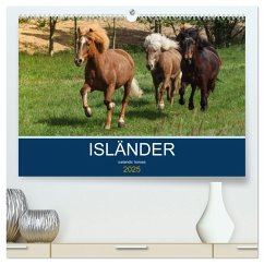 Isländer - icelandic horses (hochwertiger Premium Wandkalender 2025 DIN A2 quer), Kunstdruck in Hochglanz