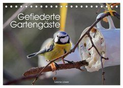 Gefiederte Gartengäste (Tischkalender 2025 DIN A5 quer), CALVENDO Monatskalender - Calvendo;Löwer, Sabine