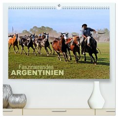 Faszinierendes Argentinien (hochwertiger Premium Wandkalender 2025 DIN A2 quer), Kunstdruck in Hochglanz