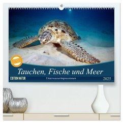 Tauchen, Fische und Meer (hochwertiger Premium Wandkalender 2025 DIN A2 quer), Kunstdruck in Hochglanz
