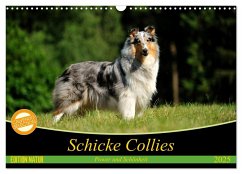 Schicke Collies (Wandkalender 2025 DIN A3 quer), CALVENDO Monatskalender