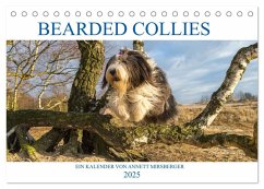 BEARDED COLLIES 2025 (Tischkalender 2025 DIN A5 quer), CALVENDO Monatskalender